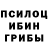 Псилоцибиновые грибы Magic Shrooms Shef 1hp